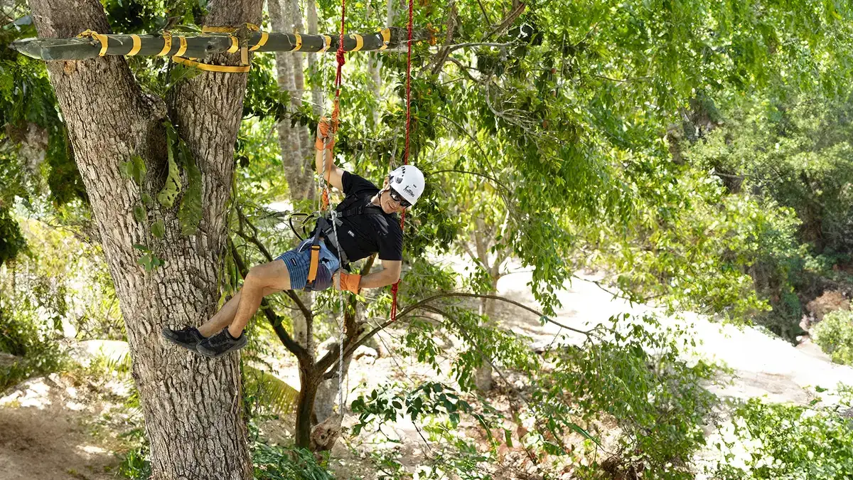 Full Day (Caballos, ATVs, Zip Line, Cenote)