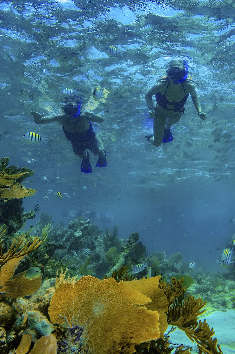 Cozumel Sea Safari