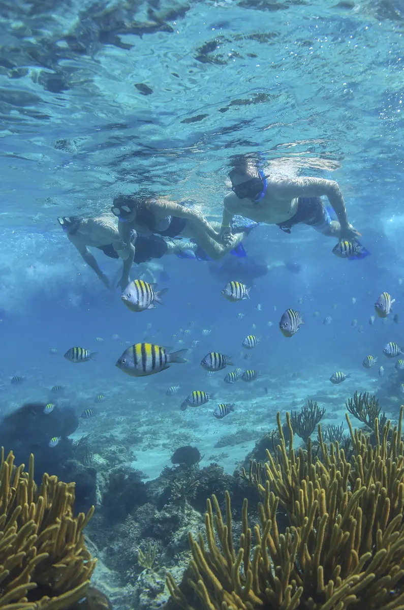 Catamaran Cozumel Snorkel (Punto de Encuentro Playacar)