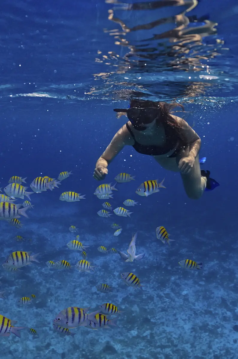 Catamaran Cozumel Snorkel (Punto de Encuentro Cozumel)