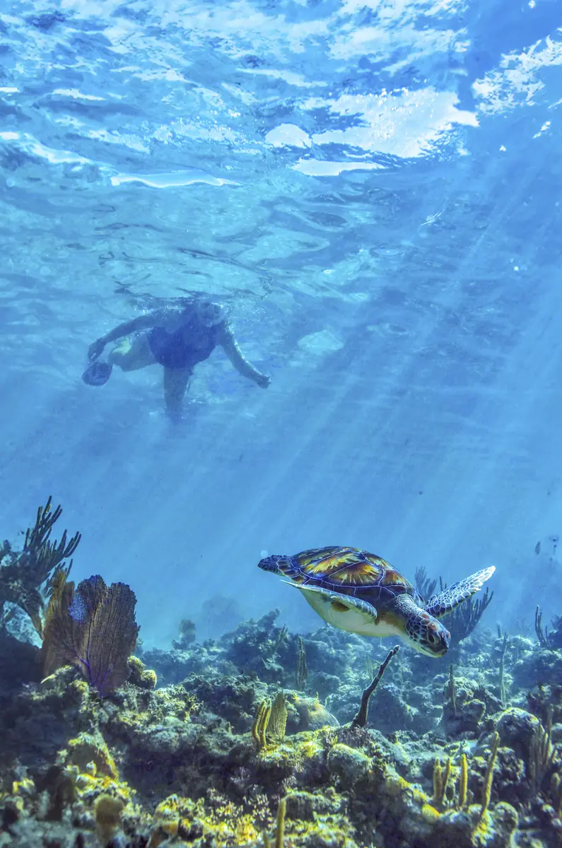 Akumal y Cenote