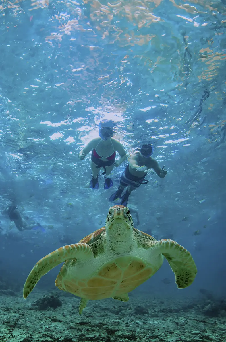 Tulum Akumal Cenote
